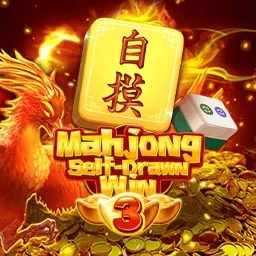 Va Mahjong Self Drawn Win 3