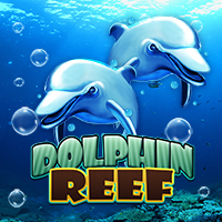 Dolphin Reef