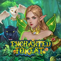Enchanted Forest
