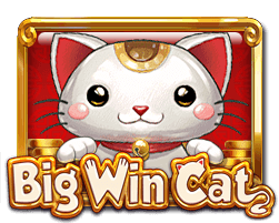 Big Win Cat