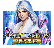 Arctic Treasure