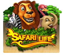Safari Life