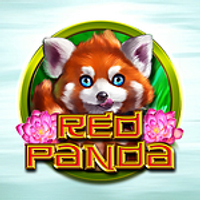 Red Panda