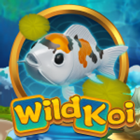 Wild Koi