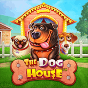 The Dog House
