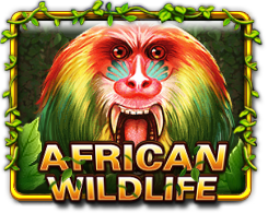African Wildlife
