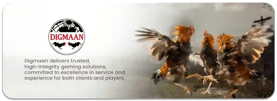 Digmaan cockfighting provider