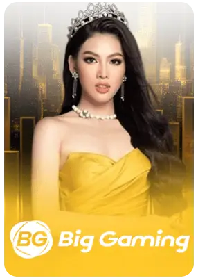 Big Gaming live casino provider